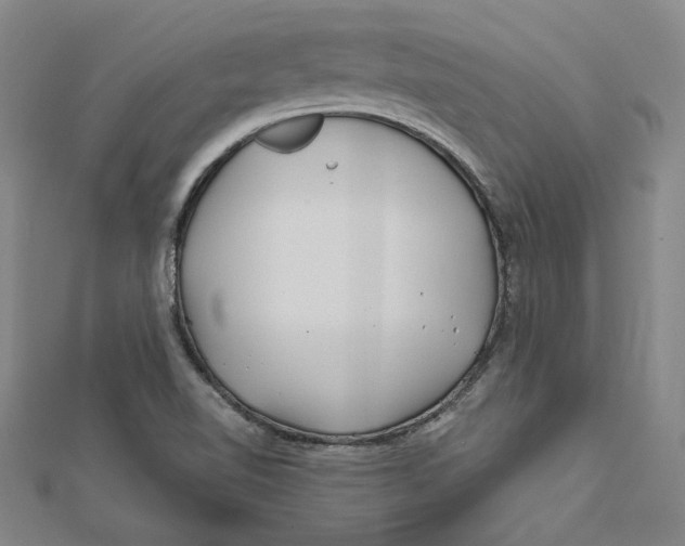 X0000111671510200908141418