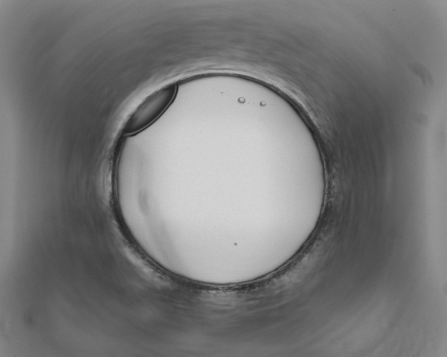 X0000111671511200908141418