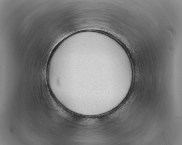 X0000111671513200908141418