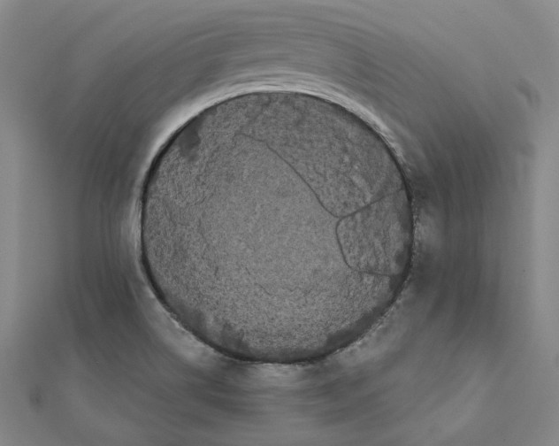 X0000111671514200908141418