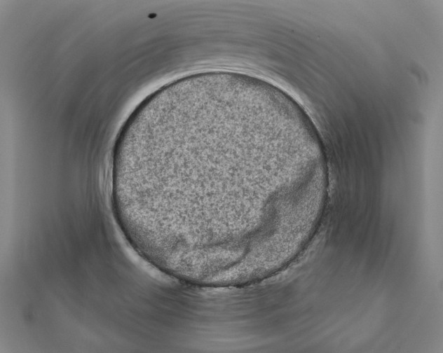 X0000111671515200908141418