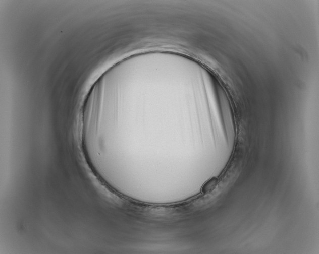 X0000111671520200908141418