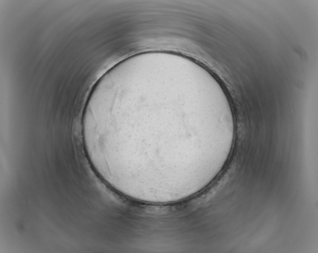 X0000111671521200908141418