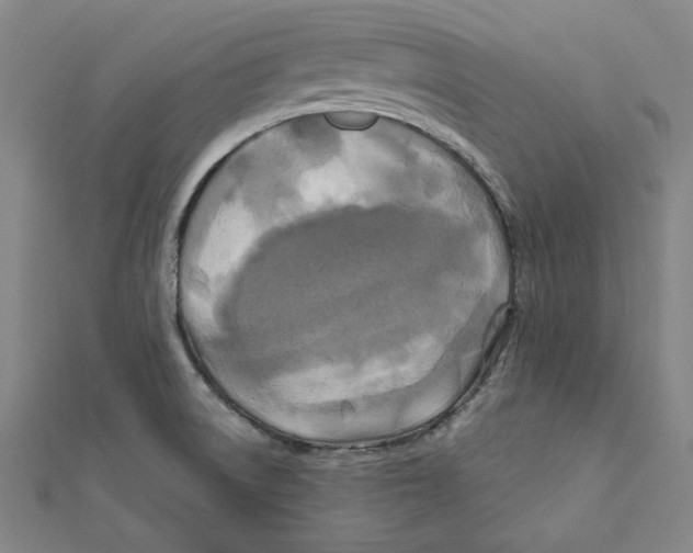 X0000111671522200908141418