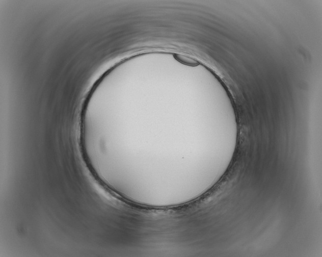 X0000111671523200908141418