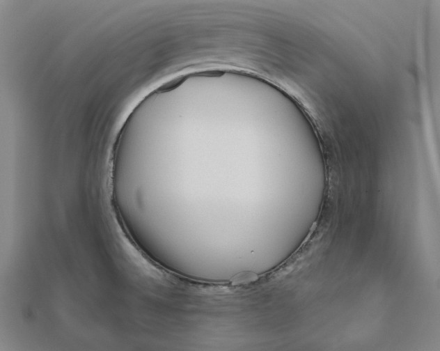 X0000111671524200908141418