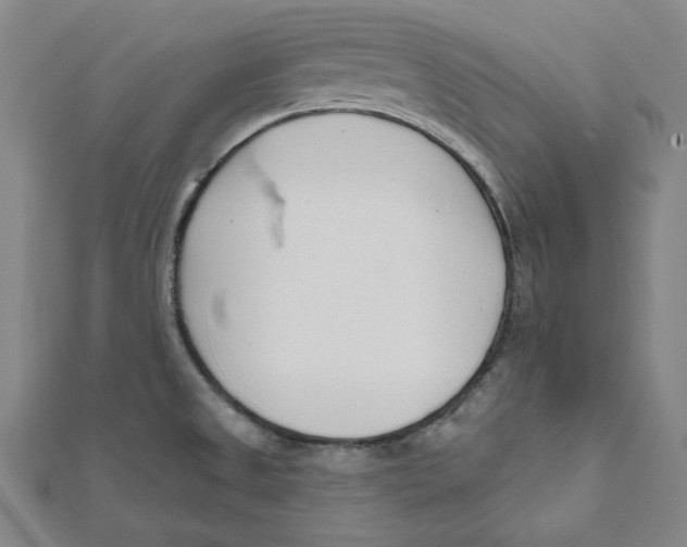 X0000111671525200908141418