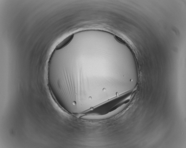 X0000111671528200908141418