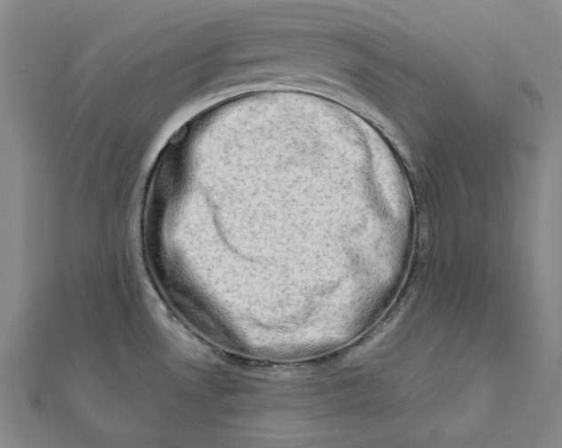 X0000111671530200908141418