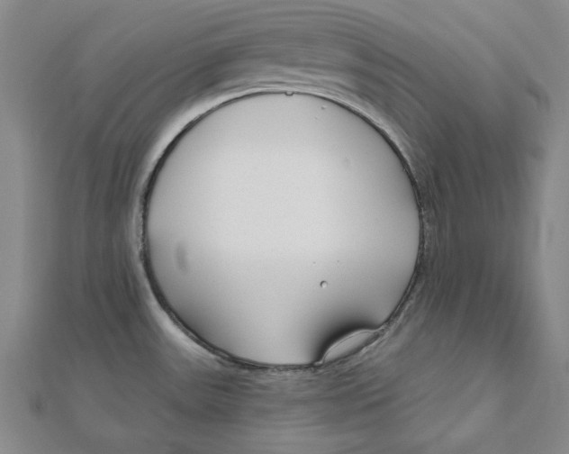 X0000111671531200908141418