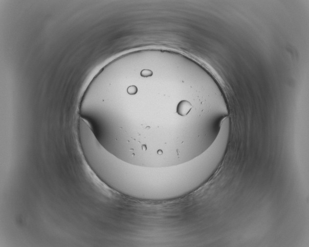 X0000111671532200908141418