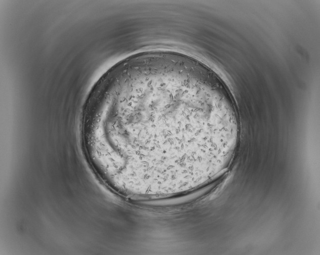 X0000111671533200908141418