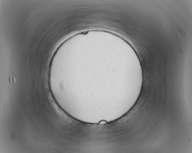 X0000111671534200908141418