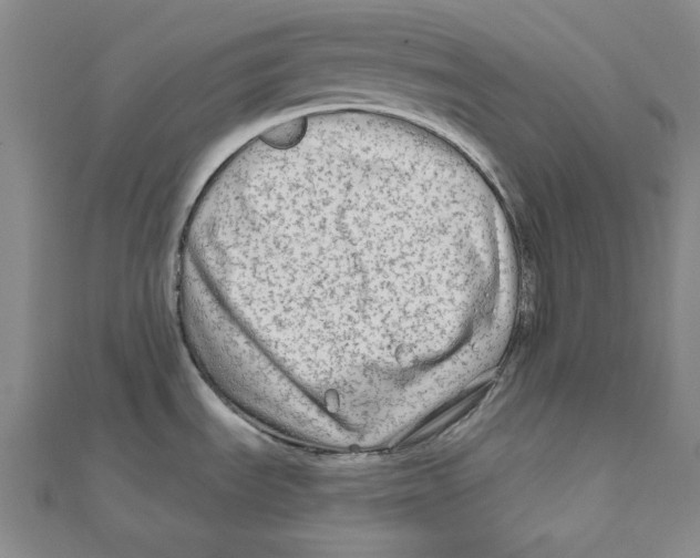 X0000111671535200908141418