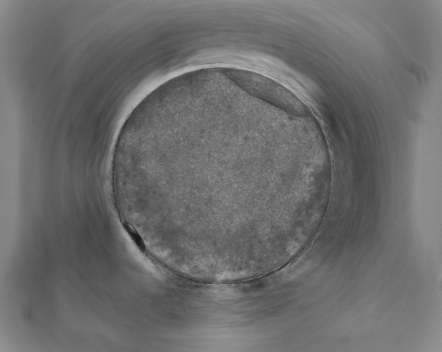 X0000111671536200908141418