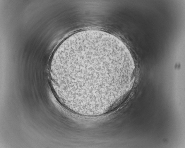 X0000111670002200908281122