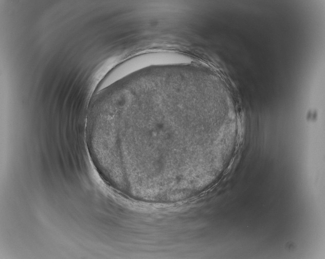 X0000111670003200908281122