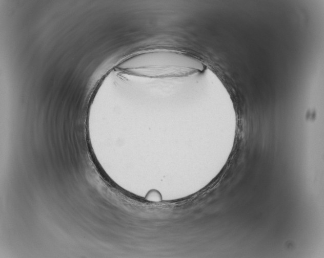 X0000111670004200908281122