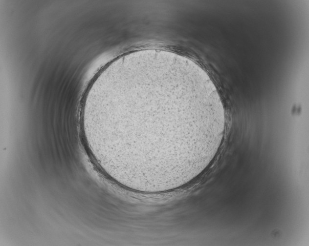 X0000111670006200908281122