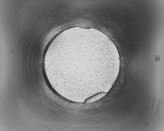 X0000111670007200908281122