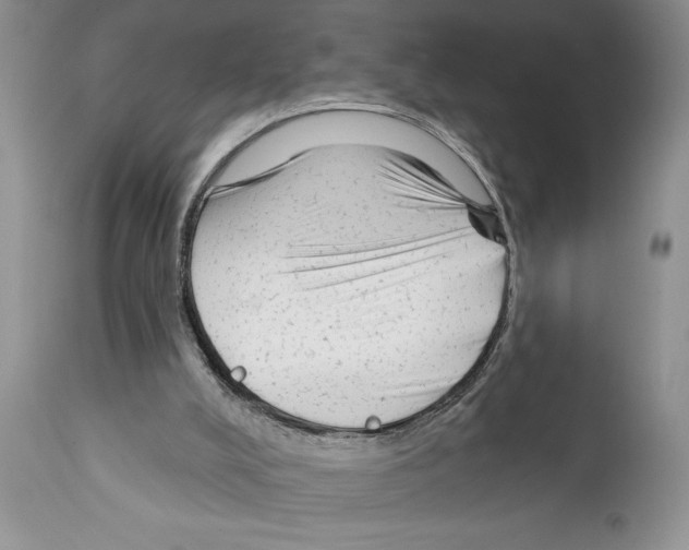 X0000111670008200908281122