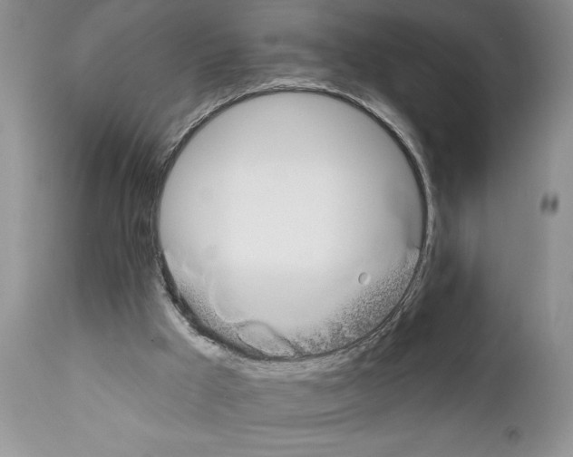 X0000111670009200908281122