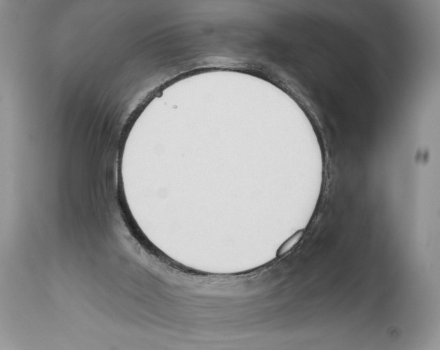 X0000111670011200908281122