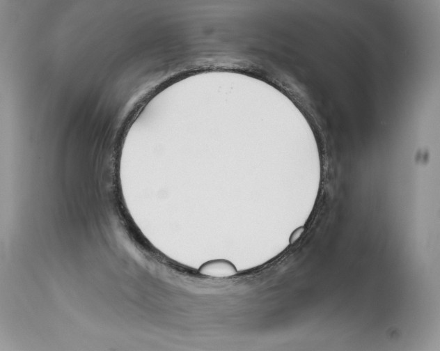 X0000111670012200908281122