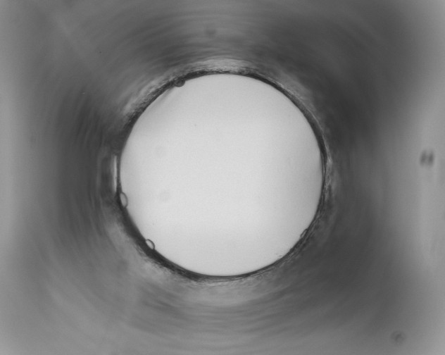 X0000111670013200908281122