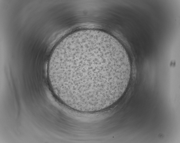 X0000111670014200908281122