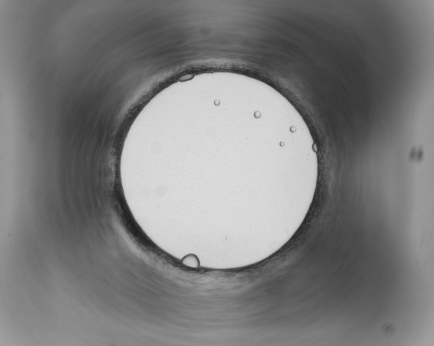 X0000111670016200908281122