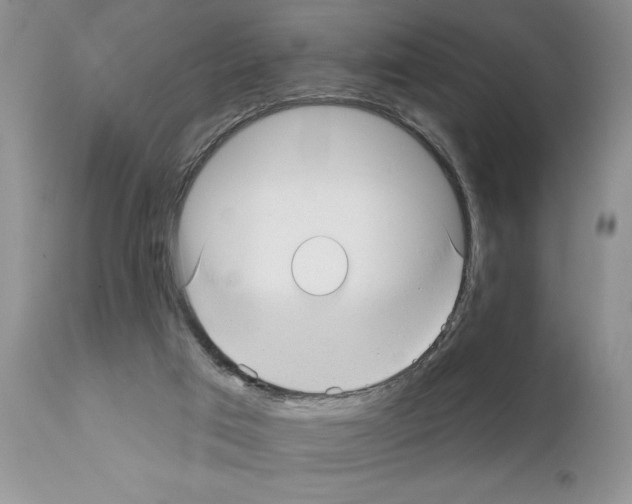 X0000111670017200908281122