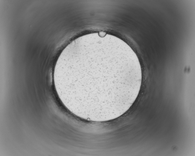 X0000111670020200908281122