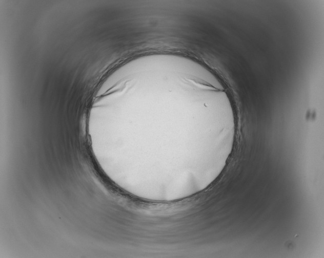 X0000111670021200908281122