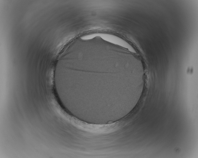 X0000111670023200908281122