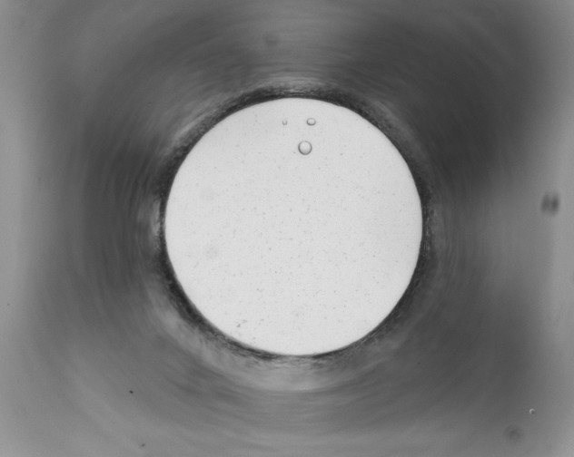 X0000111670024200908281122