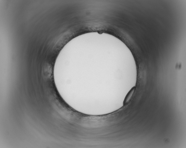 X0000111670025200908281122