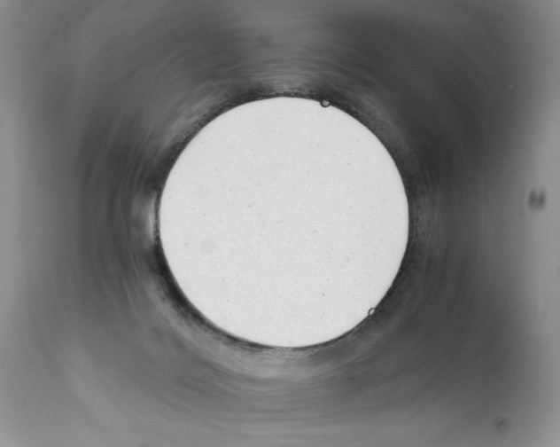 X0000111670028200908281122