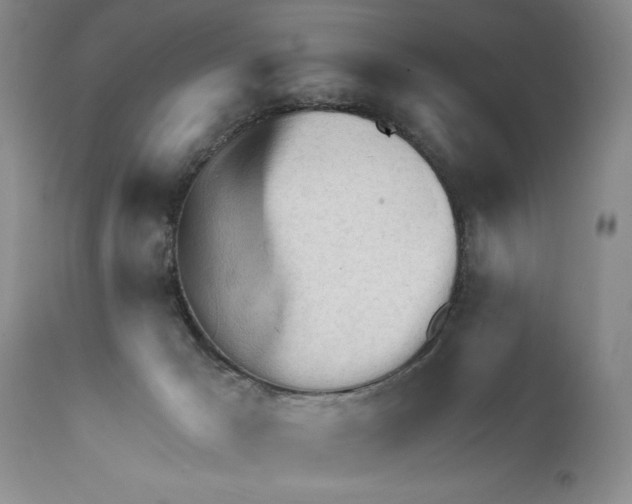 X0000111670029200908281122