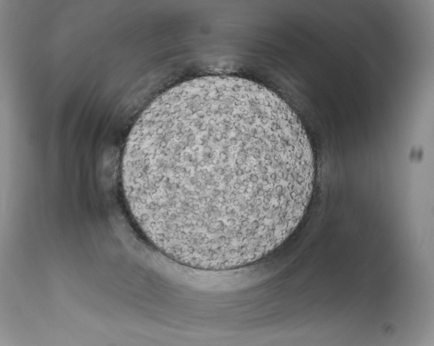 X0000111670030200908281122