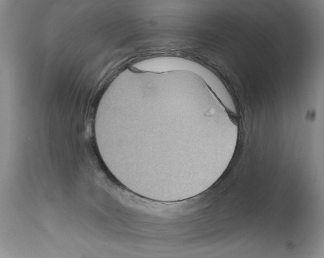 X0000111670035200908281122