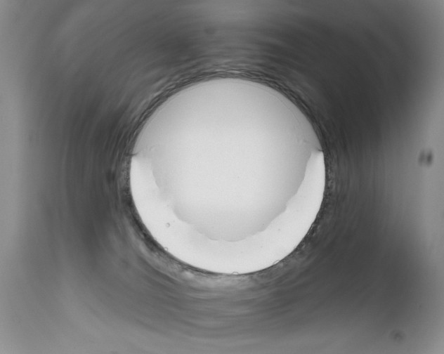 X0000111670036200908281122