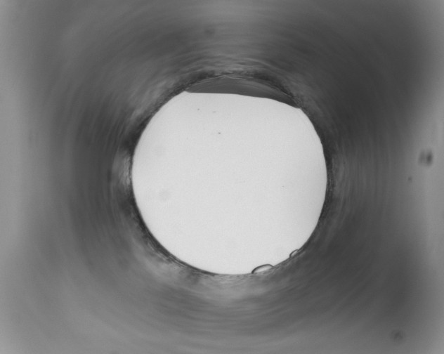 X0000111670041200908281122