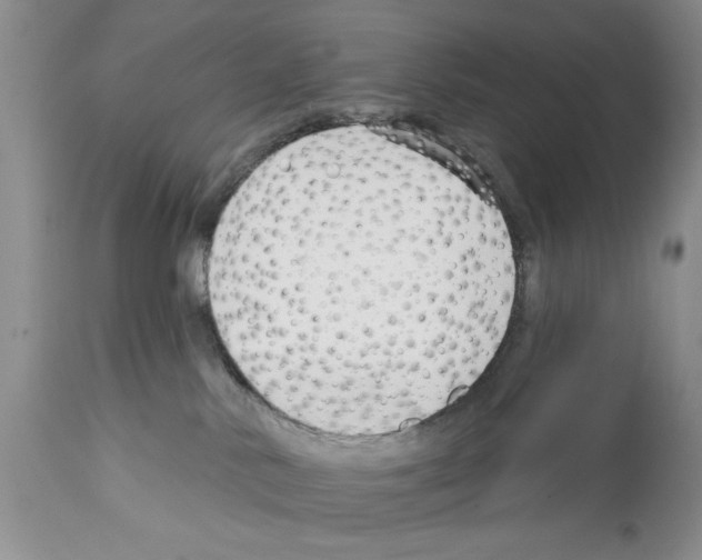 X0000111670042200908281122