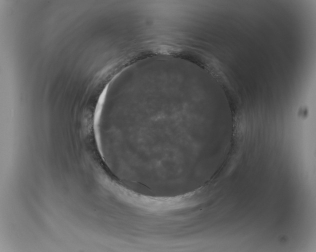 X0000111670043200908281122