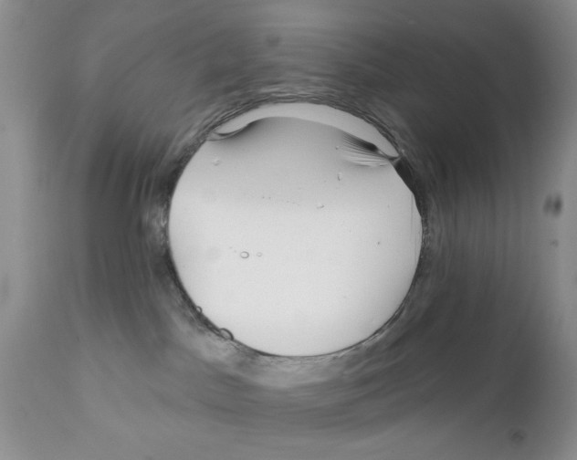 X0000111670045200908281122