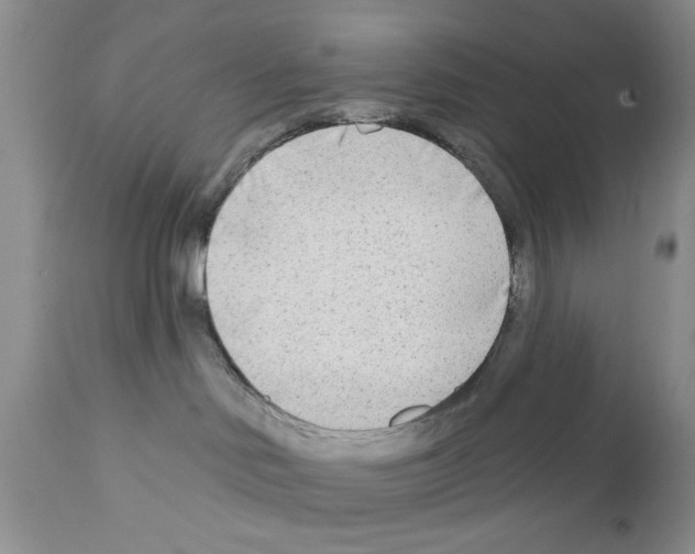 X0000111670046200908281122