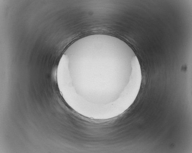 X0000111670047200908281122