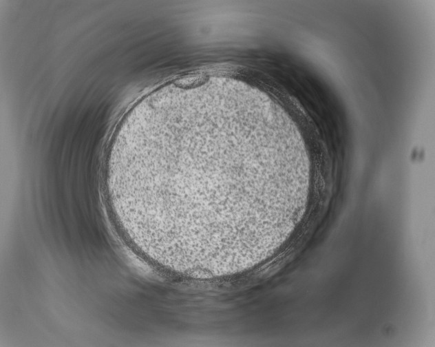 X0000111670049200908281121