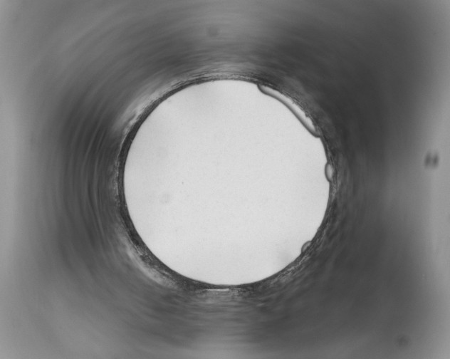 X0000111670050200908281121